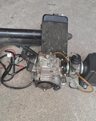 motore rotax max 125 cc monomarcia 