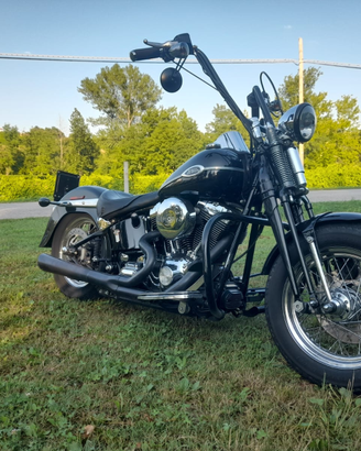 Harley Davidson 1450 softail springer classic