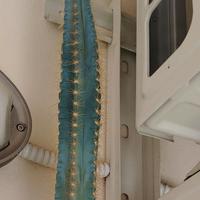 11 PIANTE VARIE DIMENSIONI + VASI + PORTAVASI