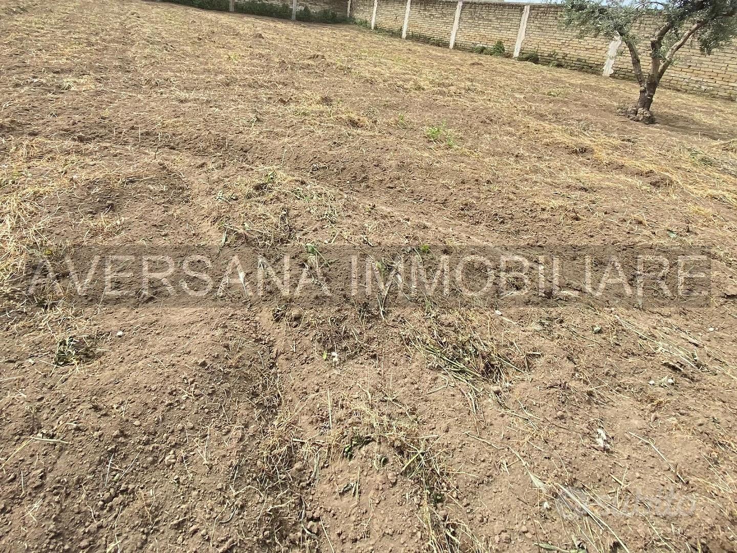 Terreno Sportivo - Vista 3