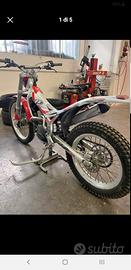 Beta trial 250 rev