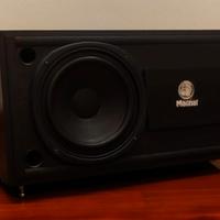 Subwoofer passivo 80w driver Magnat 205mm