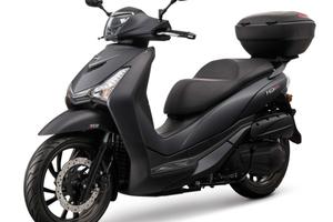 Sym HD 300