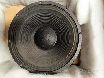 Coppia Woofer professionali Fane