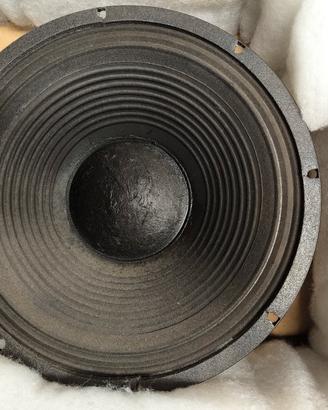 Coppia Woofer professionali Fane