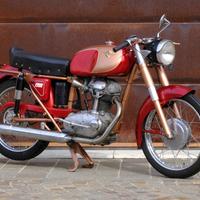 Ducati 175 TS - 1960
