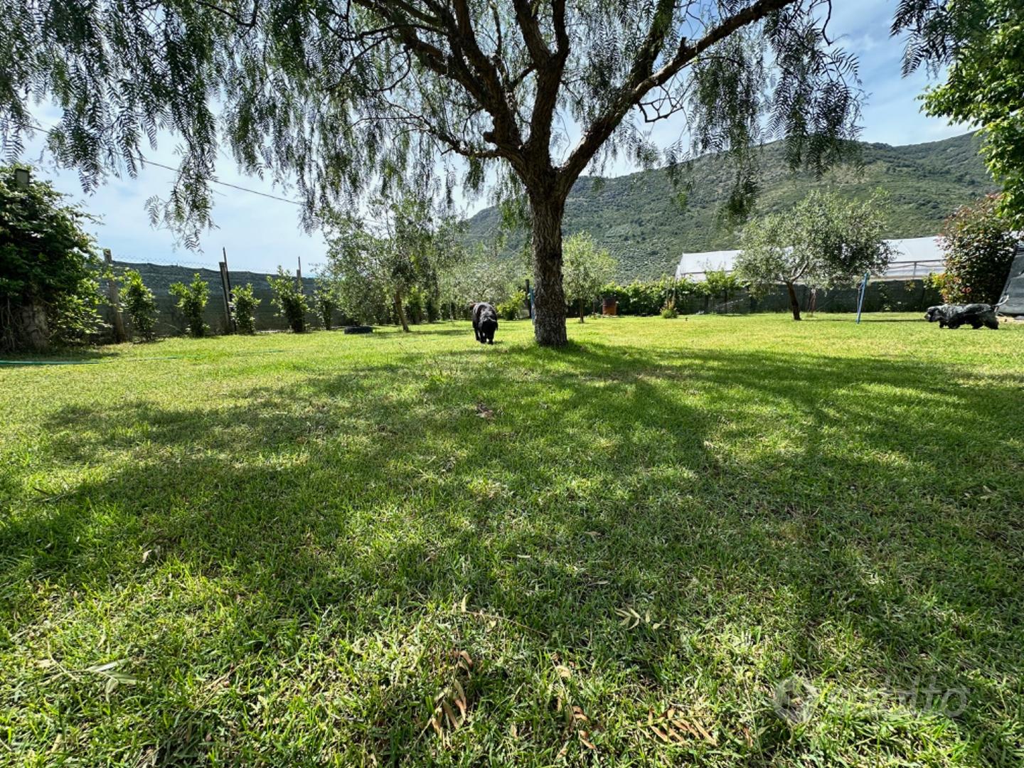 Terreno ben curato - View 5