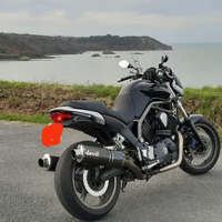 Yamaha bulldog 1100