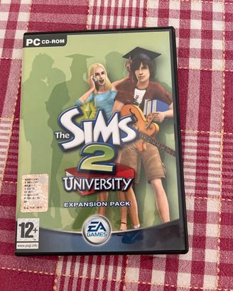 The Sims 2 Espansione University