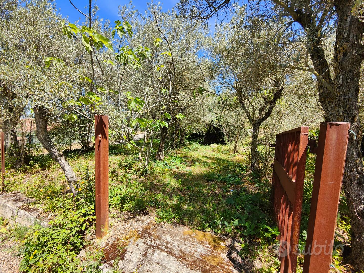 monreale/monte caputo ampi lotti di terreno - Vista 5