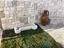Immagine 15