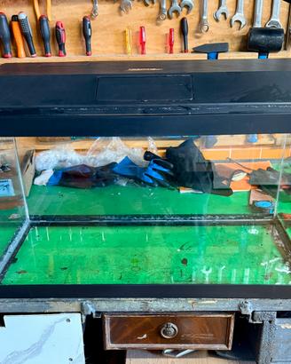 Acquario 60litri