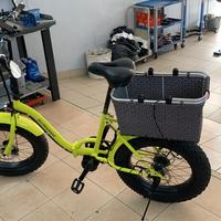 Bici elettrica