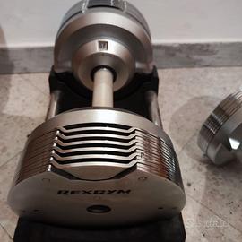 Manubri regolabili King's gym 23.5 kg