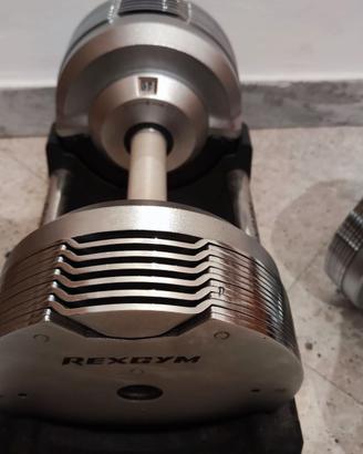 Manubri regolabili King's gym 23.5 kg