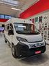 fiat-ducato-trasporto-carrozzine