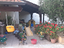 Immagine 6