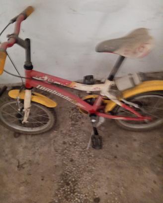 biciclette 