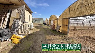 Siamaggiore - Azienda serricola