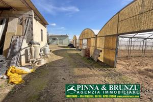 Siamaggiore - Azienda serricola