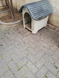 CUCCIA PER CANI USATA