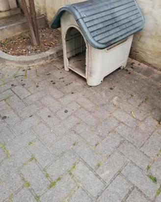 CUCCIA PER CANI USATA