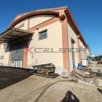 CAVARZERE - CAPANNONE