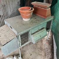 Gabbia per galline polli conigli