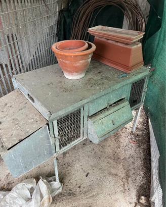 Gabbia per galline polli conigli