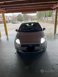 Fiat punto neopatentati