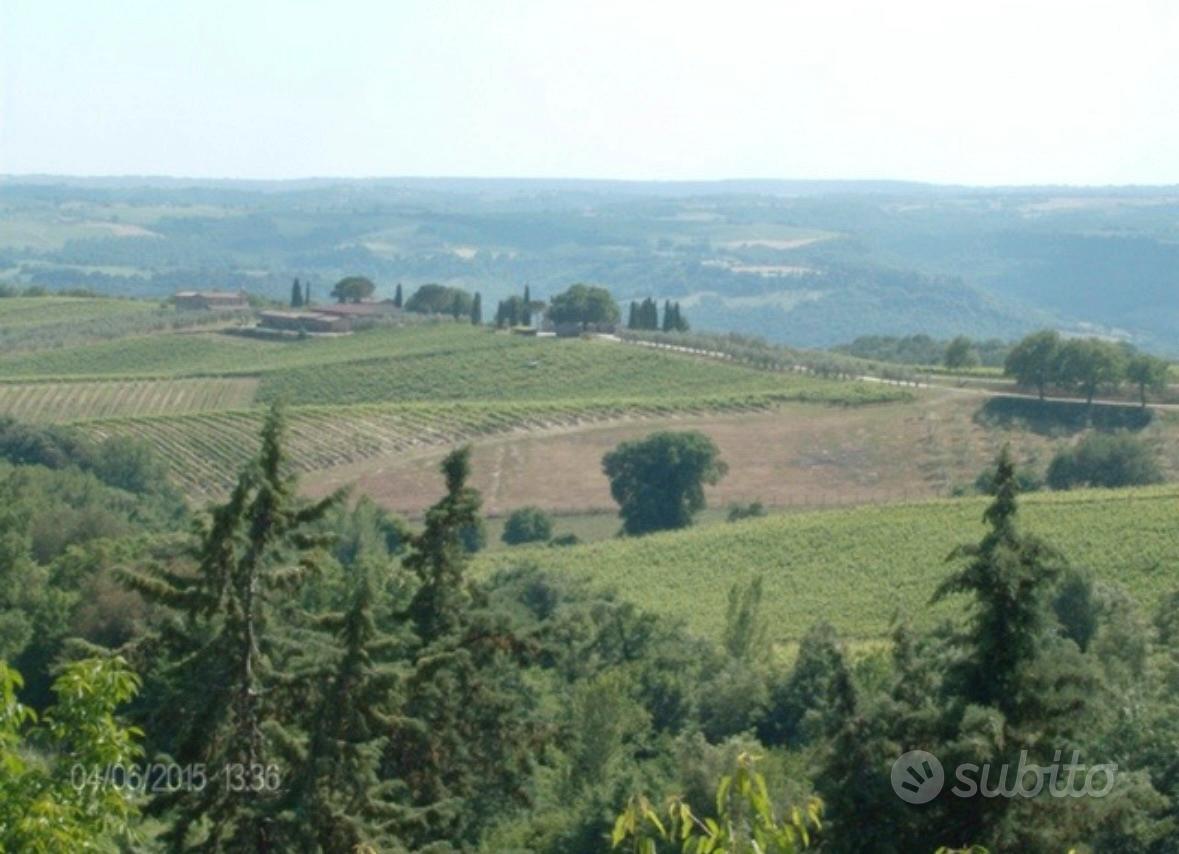 Apartment in Lugnano in Teverina, Collesecco - Vista 3