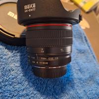 Obiettivo fisheye