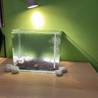acquario 5 litri