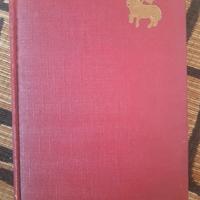 Bibbia per il bambino - 1933 - Salani Ed.