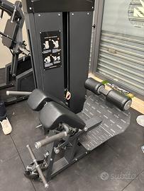 LOADED BACK EXTENSION / GLUTE DRIVE Professionale