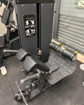 LOADED BACK EXTENSION / GLUTE DRIVE Professionale