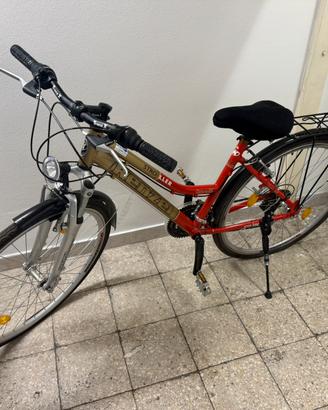 Bici Kenzei Stroller