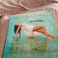 vinile 33 giri Torno sui miei passi