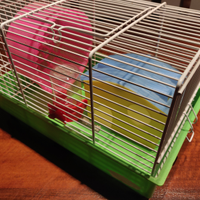 Gabbia criceti / topolini completa di accessori