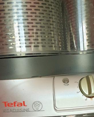 cuoci a vapore elettrico Tefal