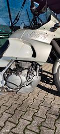 Kawasaki kle 500