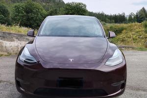 Tesla Model Y Long Range Dual Motor AWD Cherry Red
