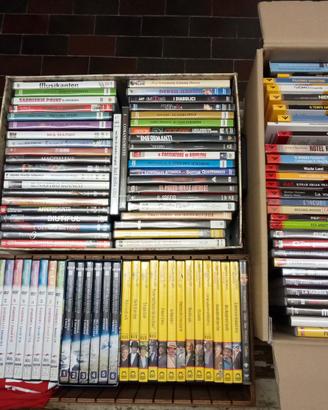 Grande lotto collezione più di 250 DVD