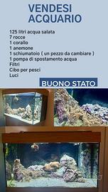 Acquario