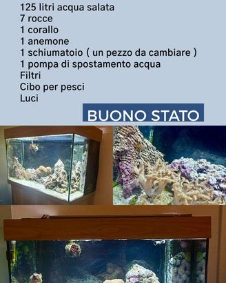 Acquario