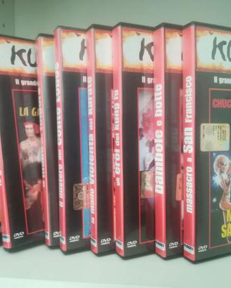 COLLEZIONE 19 DVD FILM KUNG FU