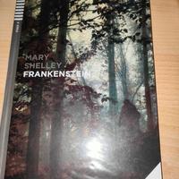 libro nuovo Frankenstein – Mary Shelley in inglese