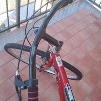 Bici Expera "28