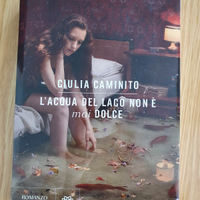 Romanzo "L'acqua del lago non è mai dolce"