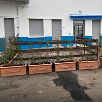 Dehor  pedana per bar ristorante